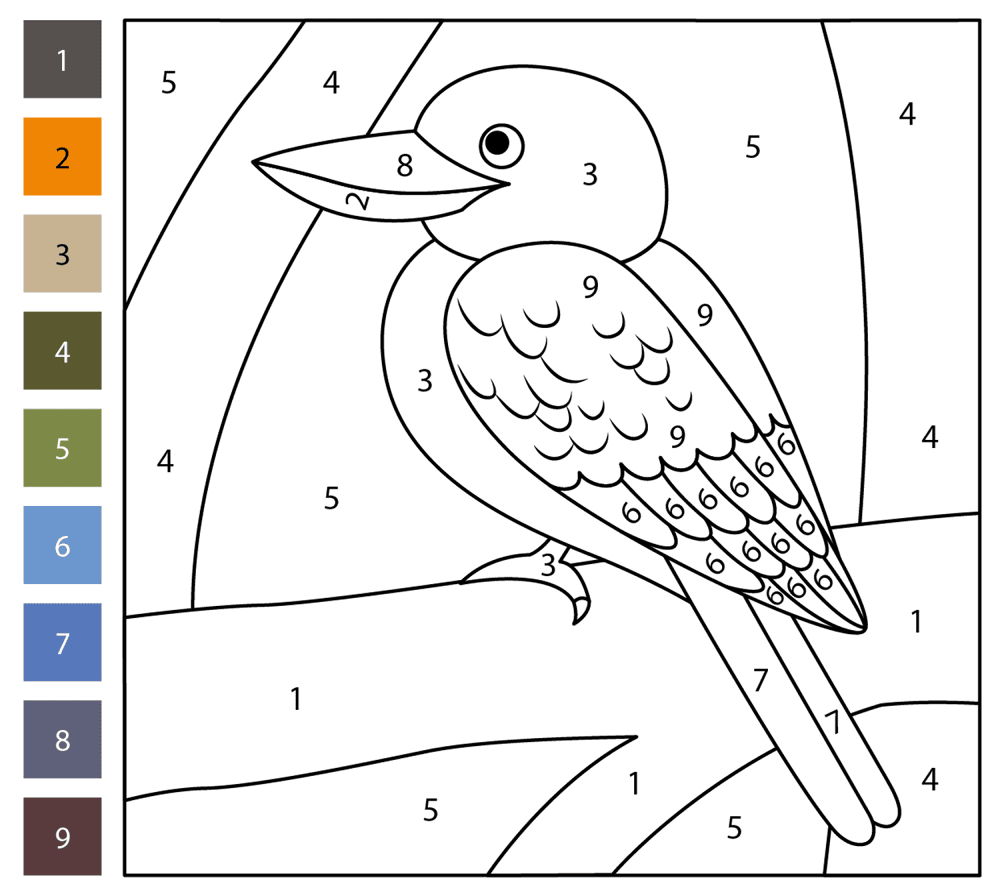 Kookaburra Color By Number Coloring Page Md Coloring Page — Free Printable — free printable coloring page